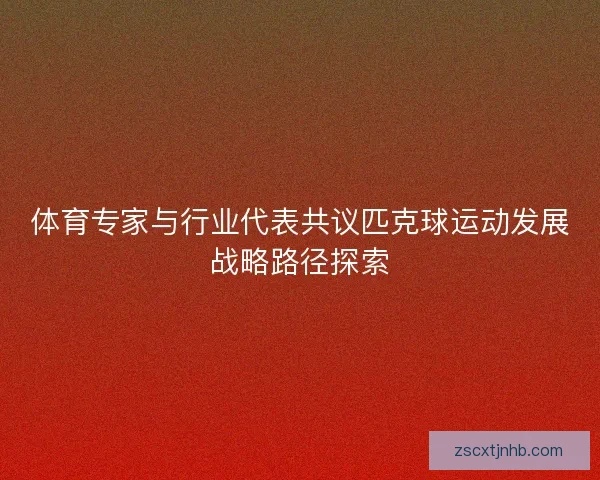 体育专家与行业代表共议匹克球运动发展战略路径探索