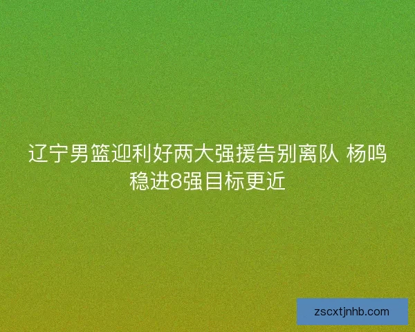 辽宁男篮迎利好两大强援告别离队 杨鸣稳进8强目标更近